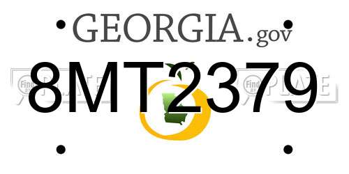 8MT2379 Georgia License Plate
