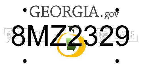 8MZ2329 Georgia License Plate
