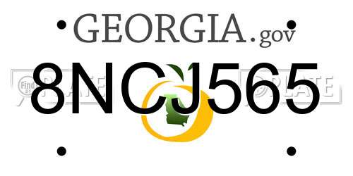 8NCJ565 Georgia License Plate