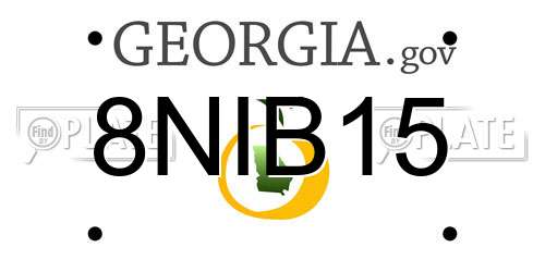 8NIB15 Georgia License Plate