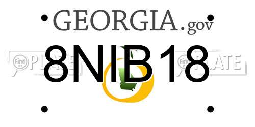 8NIB18 Georgia License Plate