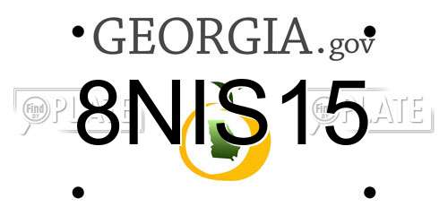 8NIS15 Georgia License Plate