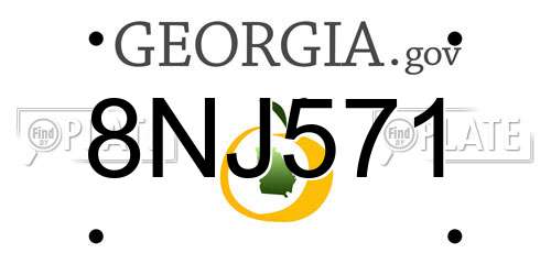 8NJ571 Georgia License Plate