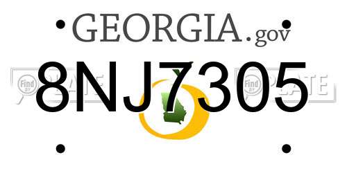 8NJ7305 Georgia License Plate