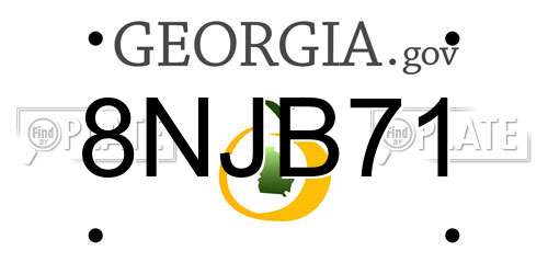 8NJB71 Georgia License Plate