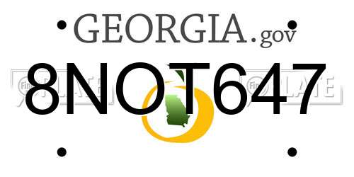 8NOT647 Georgia License Plate