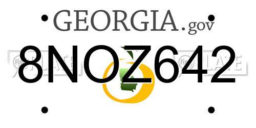 8NOZ642 Georgia License Plate