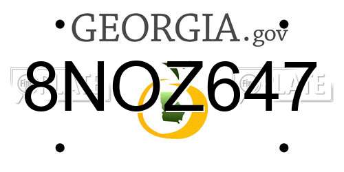 8NOZ647 Georgia License Plate