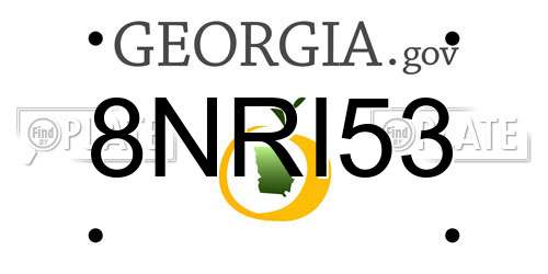 8NRI53 Georgia License Plate