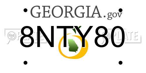 8NTY80 Georgia License Plate