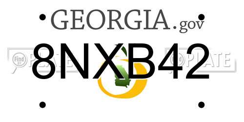 8NXB42 Georgia License Plate