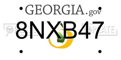 8NXB47 Georgia License Plate