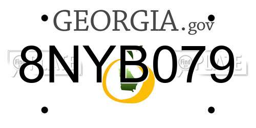 8NYB079 Georgia License Plate