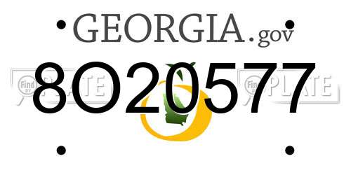 8O20577 Georgia License Plate