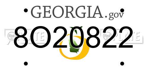 8O20822 Georgia License Plate