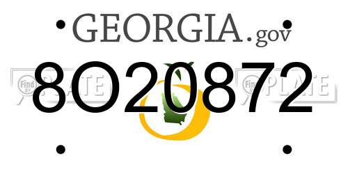 8O20872 Georgia License Plate