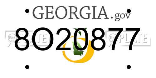 8O20877 Georgia License Plate