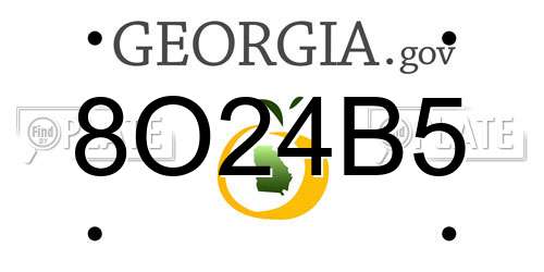 8O24B5 Georgia License Plate