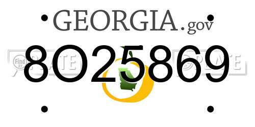 8O25869 Georgia License Plate