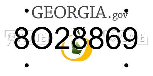 8O28869 Georgia License Plate