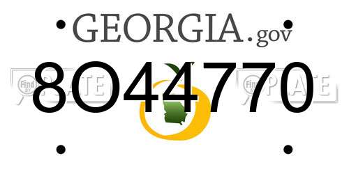 8O44770 Georgia License Plate