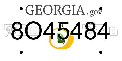 8O45484 Georgia License Plate