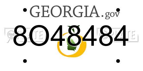 8O48484 Georgia License Plate