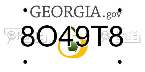 8O49T8 Georgia License Plate