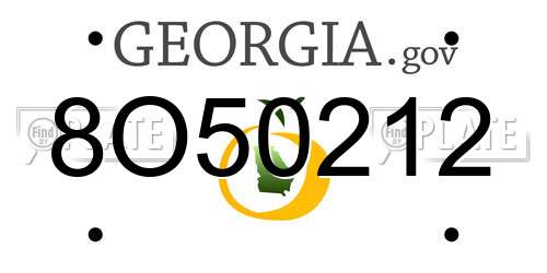 8O50212 Georgia License Plate