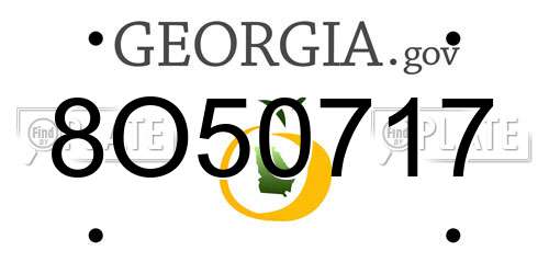 8O50717 Georgia License Plate
