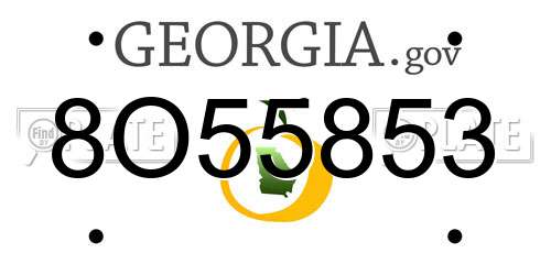 8O55853 Georgia License Plate