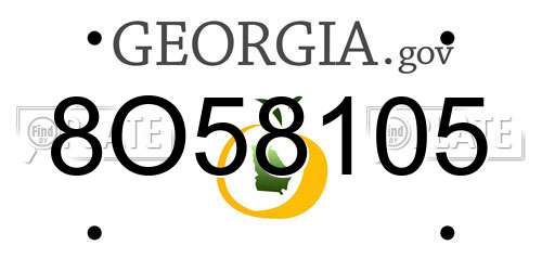 8O58105 Georgia License Plate