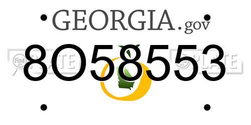 8O58553 Georgia License Plate