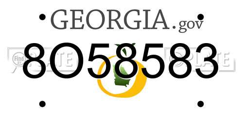 8O58583 Georgia License Plate