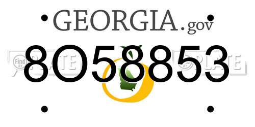8O58853 Georgia License Plate