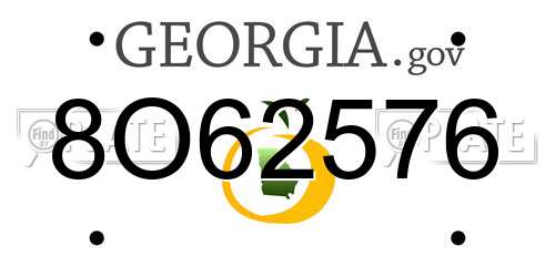 8O62576 Georgia License Plate