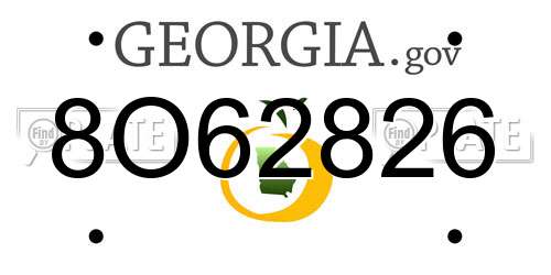 8O62826 Georgia License Plate