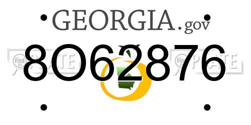 8O62876 Georgia License Plate