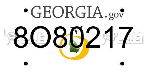 8O80217 Georgia License Plate