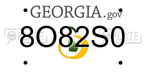 8O82S0 Georgia License Plate