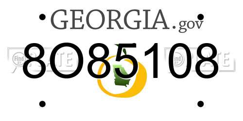 8O85108 Georgia License Plate
