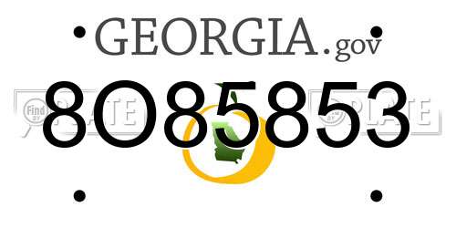 8O85853 Georgia License Plate