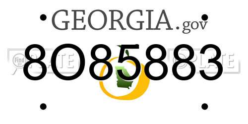 8O85883 Georgia License Plate