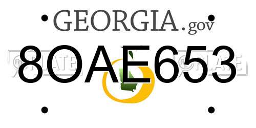 8OAE653 Georgia License Plate
