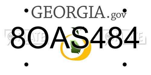 8OAS484 Georgia License Plate