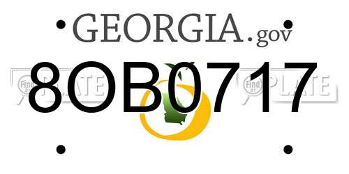 8OB0717 Georgia License Plate