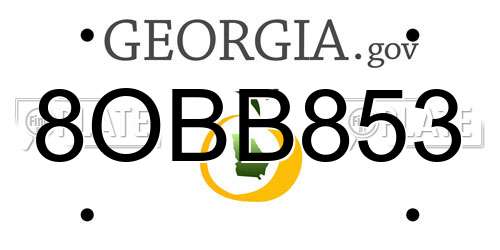 8OBB853 Georgia License Plate