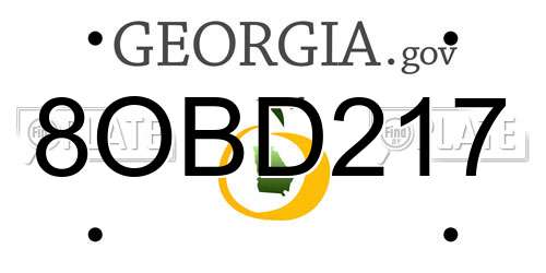 8OBD217 Georgia License Plate