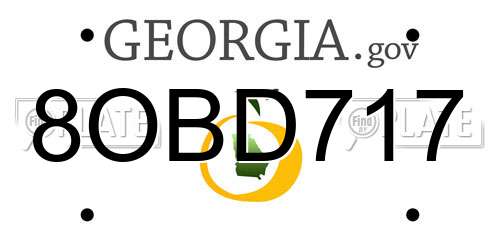 8OBD717 Georgia License Plate