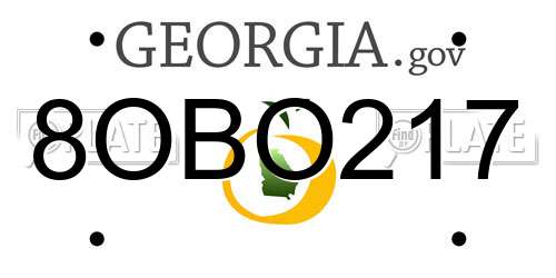 8OBO217 Georgia License Plate